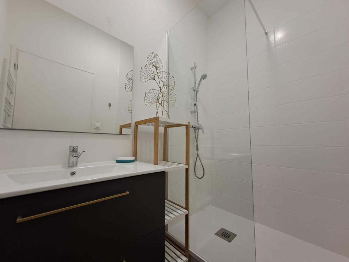 Le Saint Jean , Centre Historique, Wifi, Tout Equipe, Ideal Famille, Business, Ou Simple Escapade Niort Ngoại thất bức ảnh